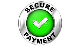 Secure Online Payments